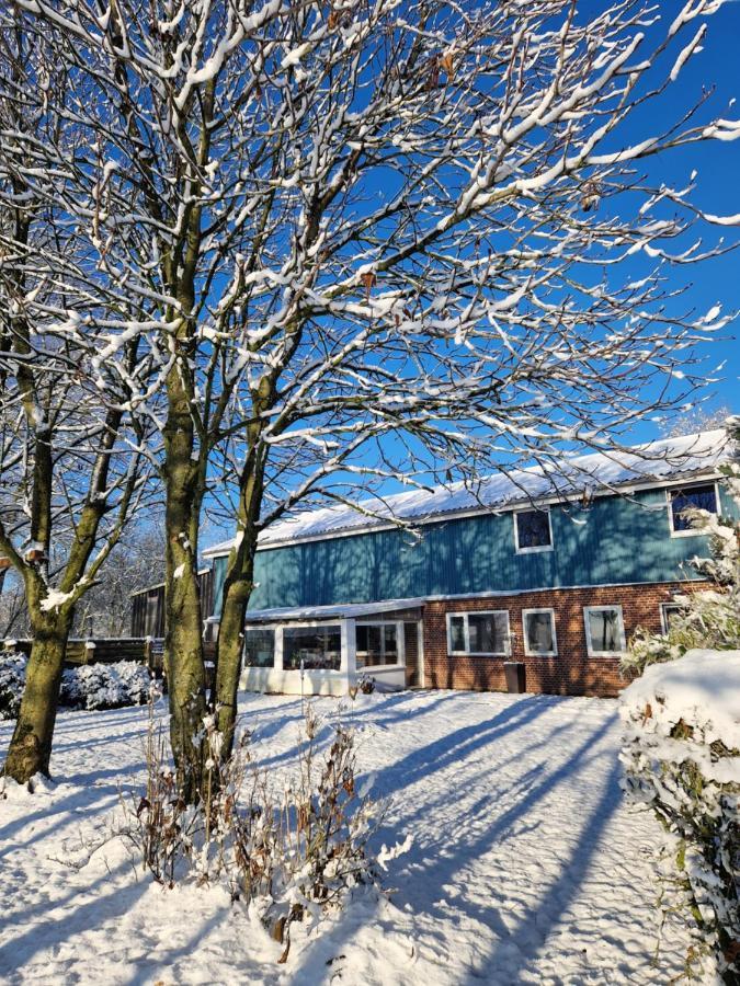 Ferienwohnung Sort Sol Grellsbuelldeich 7 Aventoft Kültér fotó