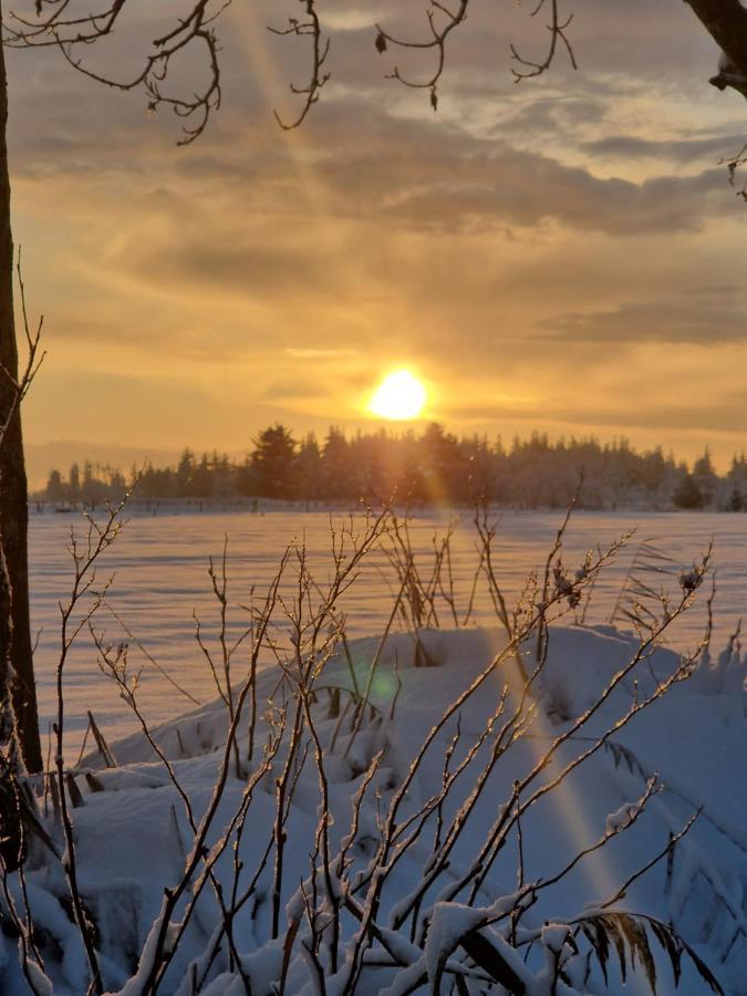 Ferienwohnung Sort Sol Grellsbuelldeich 7 Aventoft Kültér fotó
