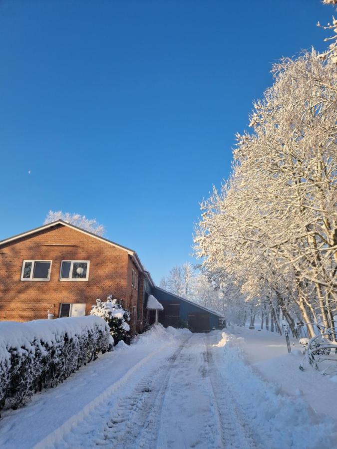 Ferienwohnung Sort Sol Grellsbuelldeich 7 Aventoft Kültér fotó